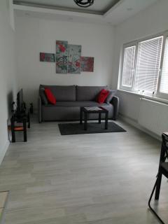 Apartment Teodora - Belgrado - 4
