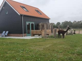Aan de Waterspiegel - Aagtekerke - 2