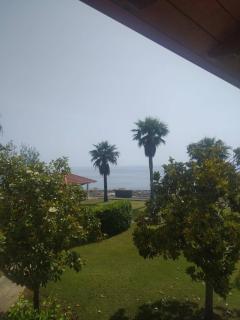 Elios bed and breakfast in Villa - Fuscaldo - Pietrapiana - 7