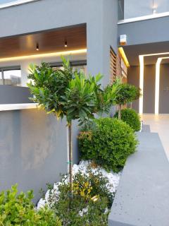 EUPHORIA ''Staying in Pleasure'' - Paralia Katerinis - 3