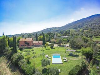 Agriturismo Zuccherini - Buriano - 1