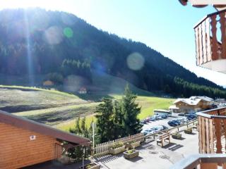 Appartement 2 pièces avec balcon, parking - Secteur calme - FR-1-573-66 - Le Biot - 7