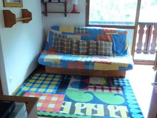 Appartement cosy à 50m des pistes, 2 pièces, 4 couchages - FR-1-573-84 - Saint-Jean-d'Aulps - 0