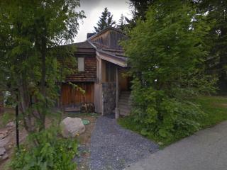 Grand chalet à Avoriaz pour 12 pers avec cheminée, terrasse et vue - FR-1-633-50 - Morzine - 9