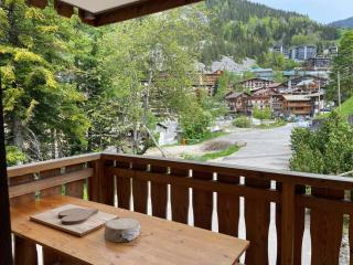 Studio charmant avec coin montagne, accès ski, parking et WIFI à La Clusaz - FR-1-437-93 - La Clusaz - 1