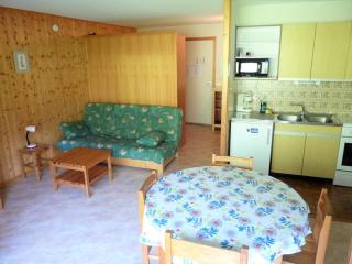 Studio pied des pistes avec piscine - FR-1-573-86 - Saint-Jean-d'Aulps - 0