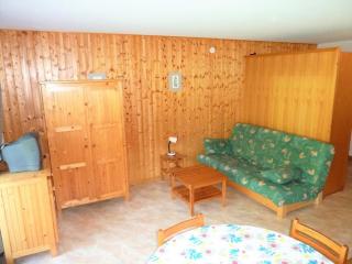 Studio pied des pistes avec piscine - FR-1-573-86 - Saint-Jean-d'Aulps - 7