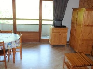 Studio pied des pistes avec piscine - FR-1-573-86 - Saint-Jean-d'Aulps - 6