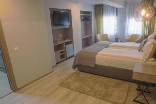 CORVIN HOUSE - Hunedoara - 1