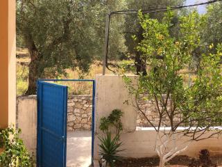 Villa Olivia Grove - Himarë - 1