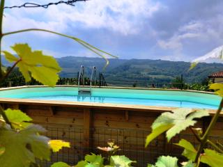 Madama Langa Country House con piscina nelle vigne - 5