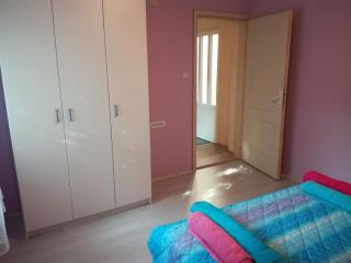 Apartman Aleks - Soko Banja - 5