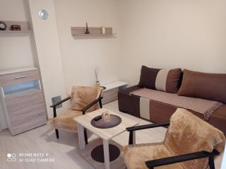 Apartman Aleks - Soko Banja - 2