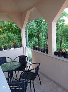 Apartman Aleks - Soko Banja - 1