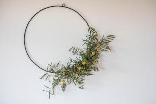 Meine Bleibe Apartment Olive - 4