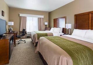 Comfort Inn Midland South I-20 - Midland - 8