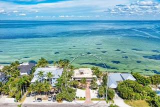 Dolphin Tales - 836 S Bay - 6