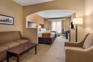 Comfort Suites near Route 66 - Springfield - 3