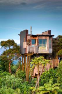 Hapuku Lodge & Tree Houses - Hapuku - 9