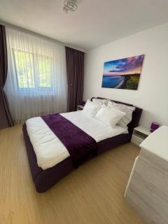 Bibis Apartments - Nehoiu - 5