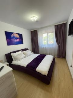 Bibis Apartments - Nehoiu - 6