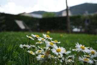 Apartamento con jardín en la Cerdanya - Err - 5