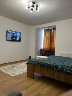 Medias Cozy Studio - Mediaş - 1