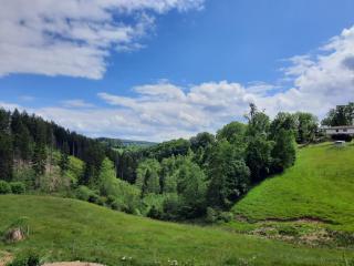 Superbe Appart' Bois De Fagne - Malmedy - 8
