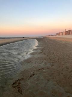 Happy stay by Anaïs - 20m to beach - De Panne - 1