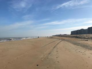 Happy stay by Anaïs - 20m to beach - De Panne - 2