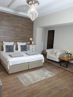ELEGANT ROOMS - ULTRACENTRAL - jacuzzi cu hidromasaj - Oradea - 3