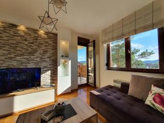 Lux&Spa Sunčani vidik Zlatibor - Zlatibor - 9