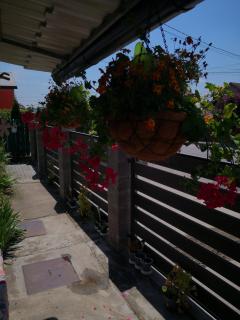 Noira House - 7