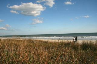 *A FAMILY GETAWAY*Pool*Steps to the Beach*Approved Dogs*D18 - Myrtle Beach - 3