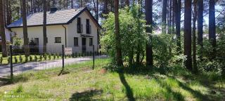 Cień Lasu Ostrowo, Jastrzębia Góra - 9