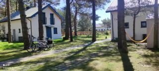 Cień Lasu Ostrowo, Jastrzębia Góra - 8