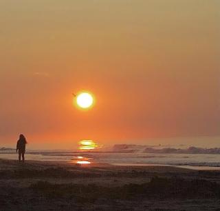 Beach Colony Motel - 1