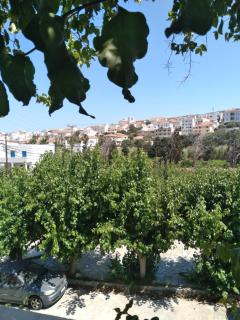 IOKASTI STUDIOS - Andros - 6