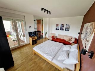 Apartment Nena - Tošin Bunar - 8