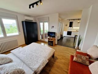 Apartment Nena - Tošin Bunar - 7