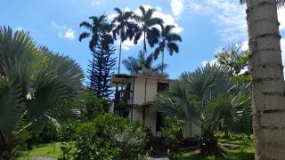 Cabañas en el Bosque - Borrero Ayerbe - 4