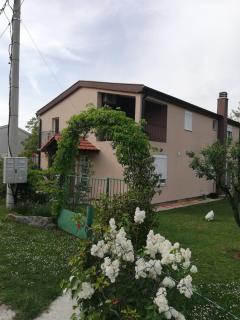 Apartmani EMMA - Kotor (Cattaro) - 0