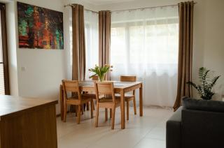 Apartament Słoneczna Rapsodia - blisko Parku Zdrojowego - piękny widok - ogród - taras - Rabka-Zdrój - 1
