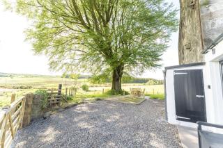 Wilsons Cottage - Falkirk - 1