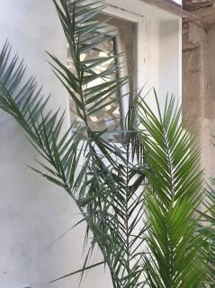 apartmani NEDO - Split - 8