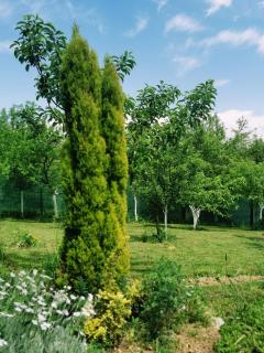 Home in Misevici - 10 minutes from Sarajevo - Hadžići - 5