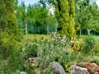 Home in Misevici - 10 minutes from Sarajevo - Hadžići - 4