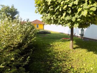 Platán Panzió - Nyúl - 6