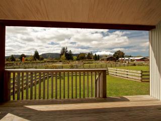 Mountain View - Ohakune Holiday Home - Ohakune - 7