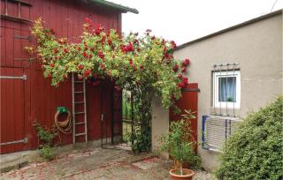 Cozy Apartment In Flüggendorf With Wifi - Klausdorf - 6